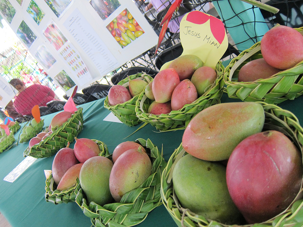 グアムの各村が開催するフェスティバルにレンタカーで行ってみよう！