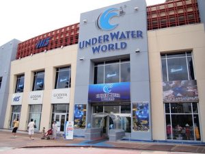 グアムの定番-グアムで唯一の水族館アンダーウォーターワールド